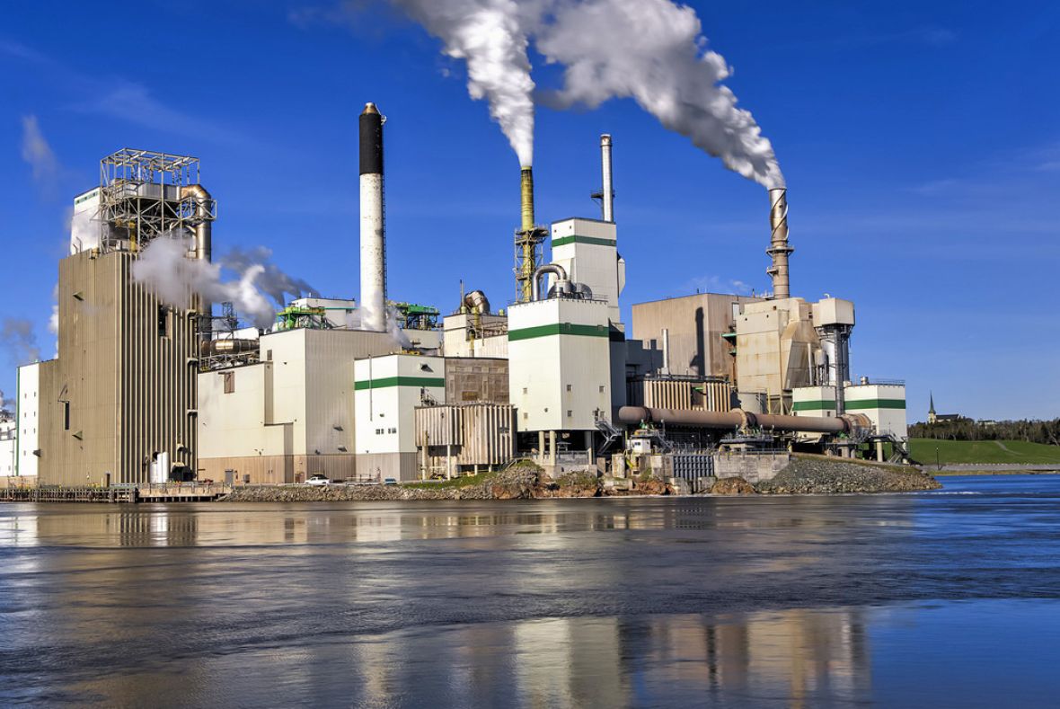 Celiulozės ir popieriaus pramonė